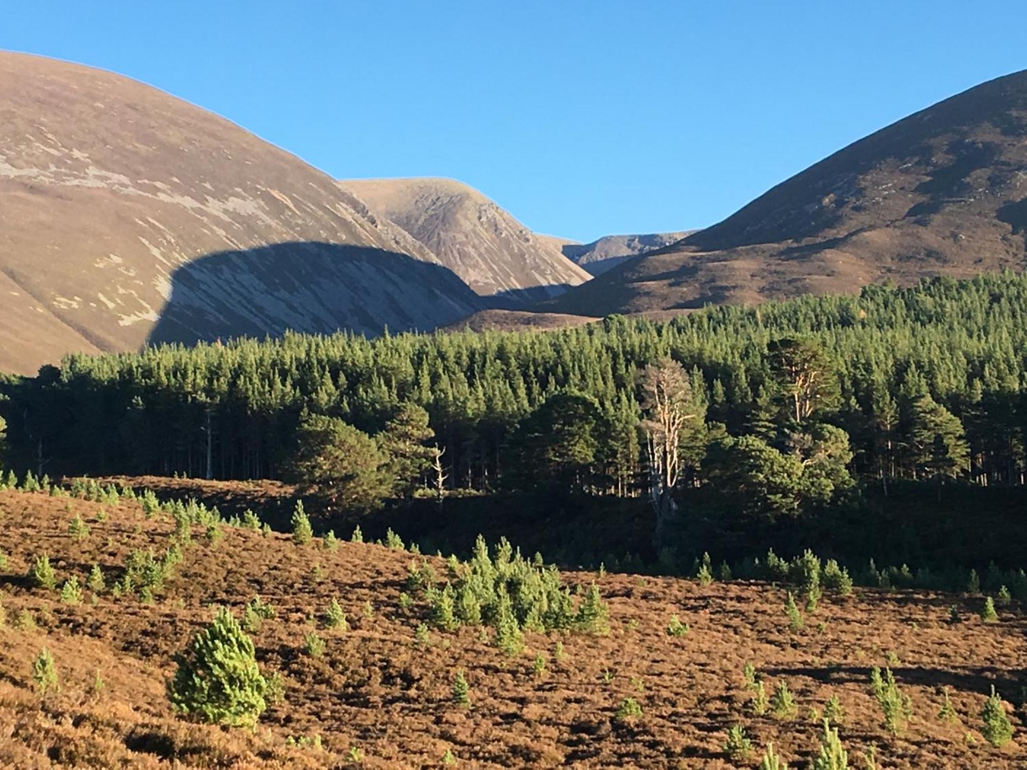 Glenfeshie Hostel Insh Exteriör bild