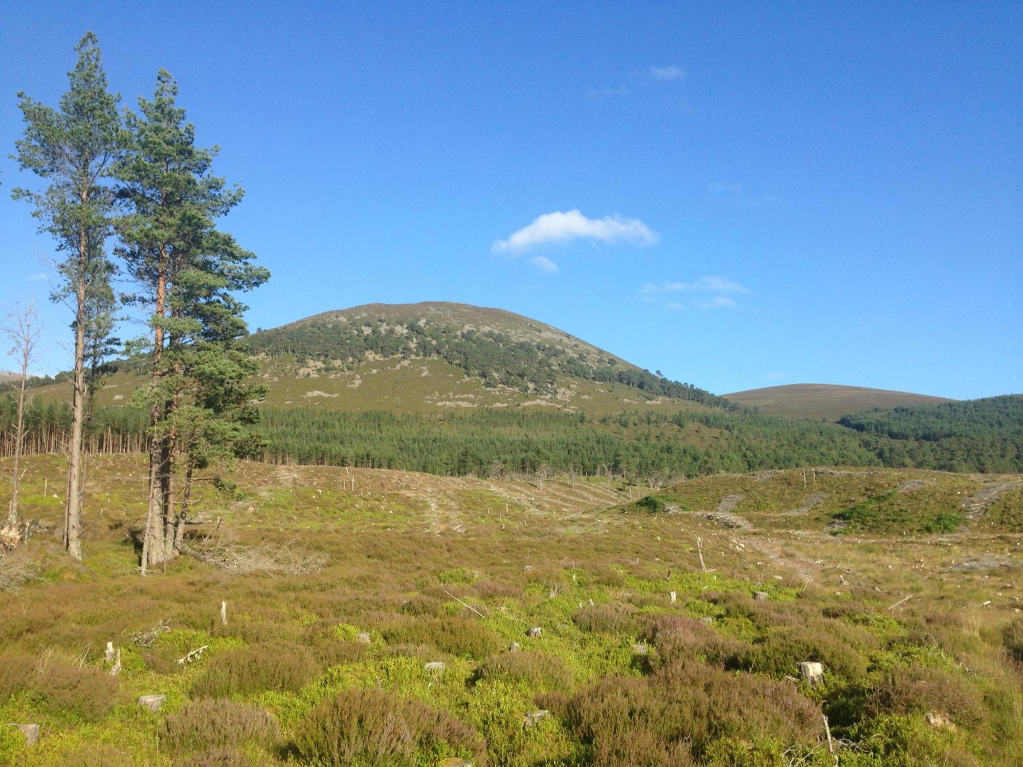 Glenfeshie Hostel Insh Exteriör bild